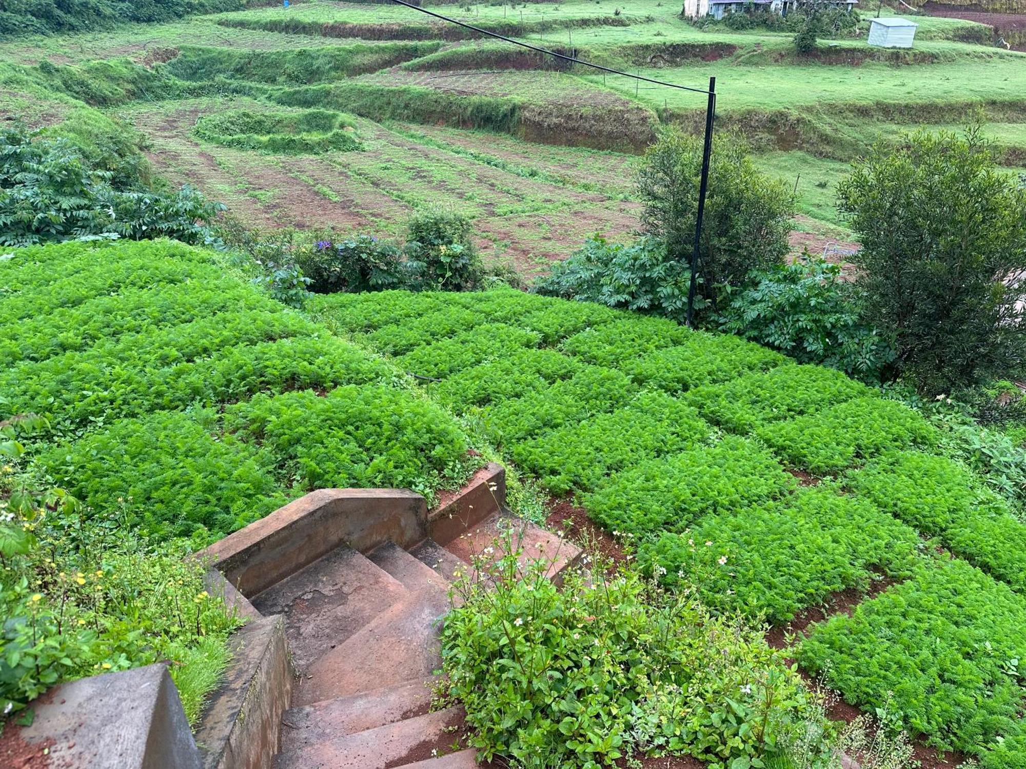 Kanjira House Ooty Εξωτερικό φωτογραφία